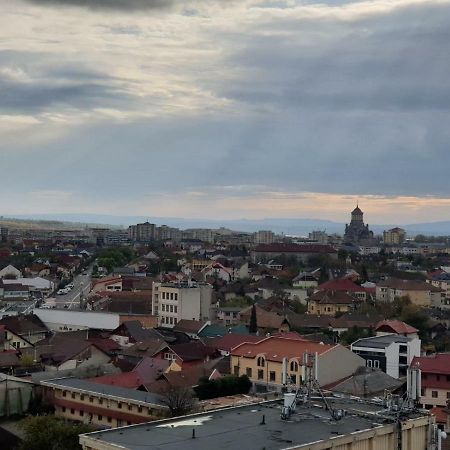 Exclusive Hortensiei Baia Mare Zewnętrze zdjęcie