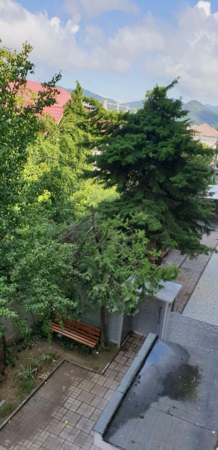 Exclusive Hortensiei Baia Mare Zewnętrze zdjęcie